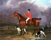 unknow artist Classical hunting fox, Equestrian and Beautiful Horses, 248. USA oil painting artist